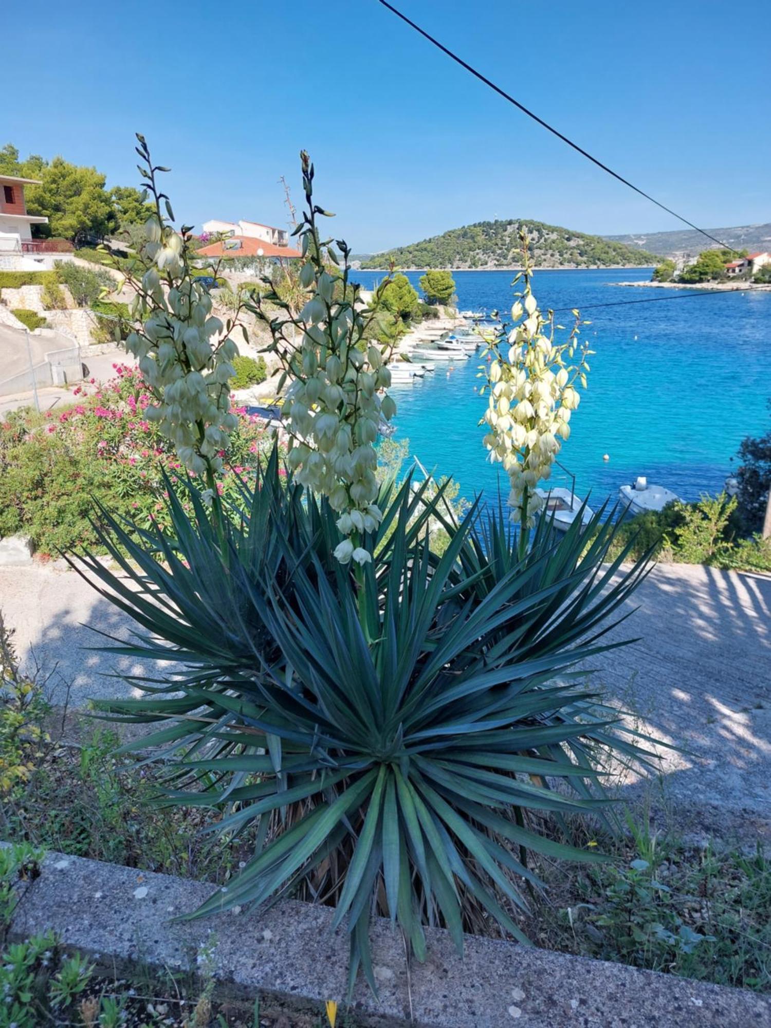 Villa Speranda Ražanj エクステリア 写真
